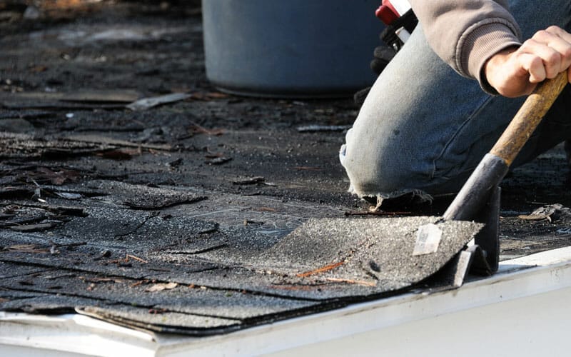 Roof Repair Specialist in Port Orchard, WA