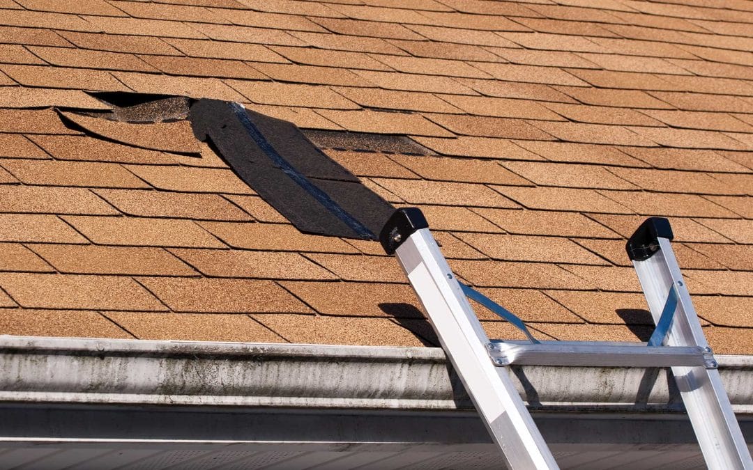 The Most Common Spring Roof Problems in Port Orchard (And How We Can Help)